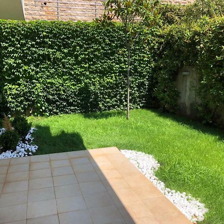 Acacia Hill A3 Apartment Ðenovići Bagian luar foto