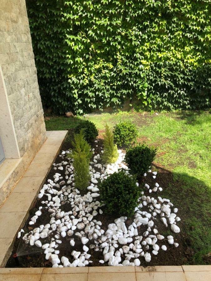 Acacia Hill A3 Apartment Ðenovići Bagian luar foto