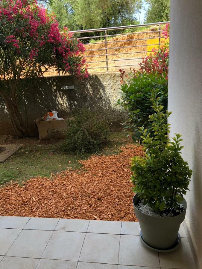 Acacia Hill A3 Apartment Ðenovići Bagian luar foto